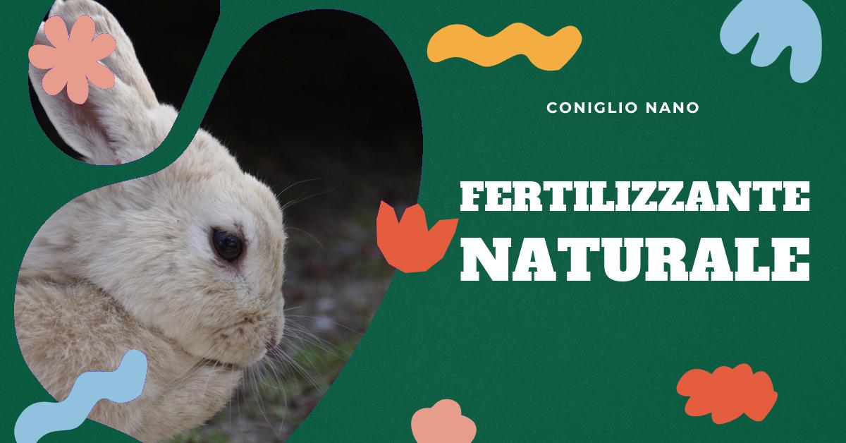 Scopri tutto sulla cacca di coniglio: dalla salute del tuo animale domestico, ai problemi legati alle feci, fino all