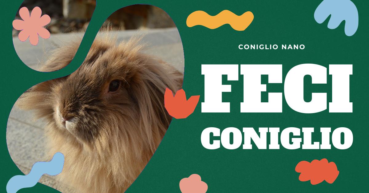 Scopri tutto sulla cacca di coniglio: come identificarla, i problemi di salute che può indicare e come può essere utilizzata come fertilizzante naturale. Informazioni preziose per chi ama i conigli domestici o si occupa di giardinaggio.