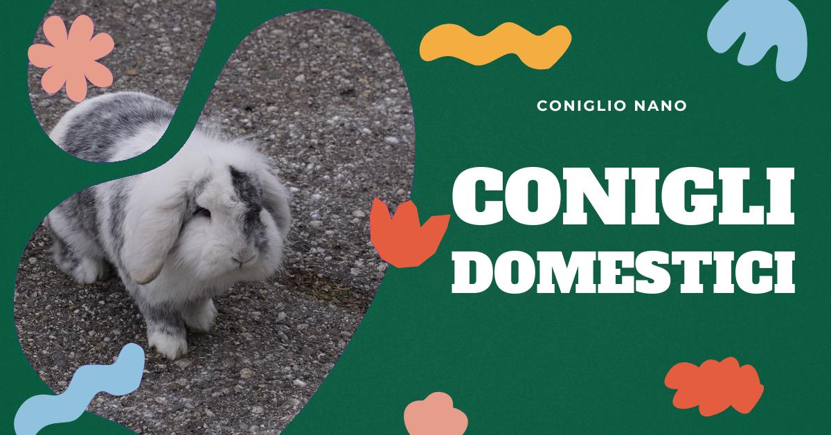 Scopri tutto ciò che c