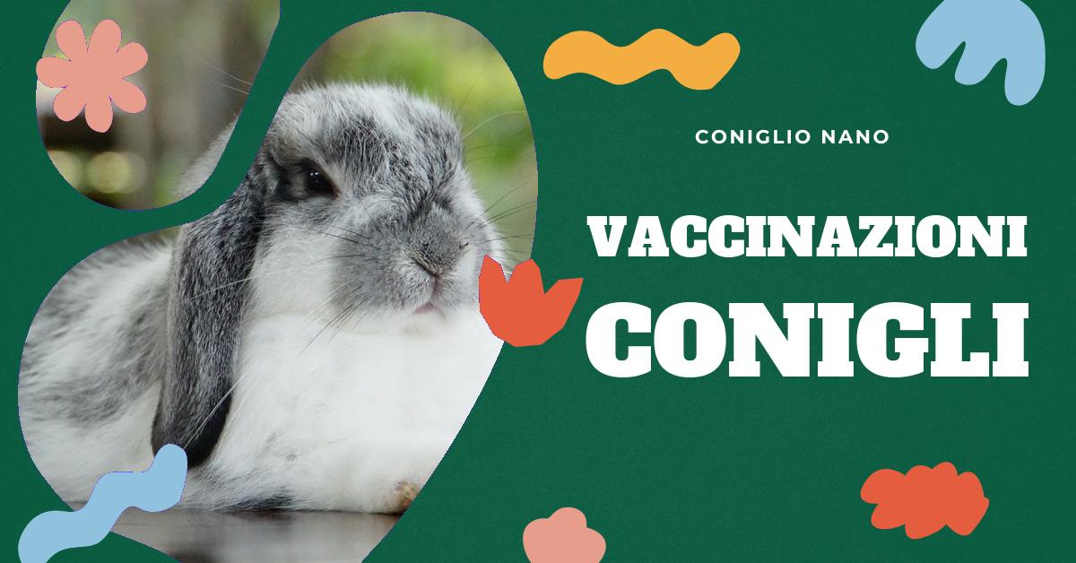 Scopri quali vaccinazioni sono necessarie per i conigli domestici per proteggerli da malattie come la malattia emorragica virale e la mixomatosi. Ottieni informazioni dettagliate sulla prevenzione delle malattie virali nei conigli e sull