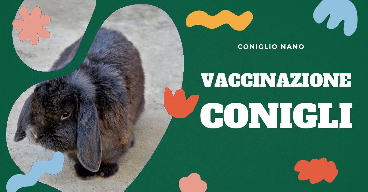 Scopri quando è il momento giusto per vaccinare il tuo coniglio nano. Trova informazioni dettagliate su quali vaccinazioni sono necessarie, a quale età devono essere somministrate e perché anche i conigli che non escono di casa dovrebbero essere vaccinati. Approfondisci le malattie virali dei conigli e come prevenirle attraverso le vaccinazioni.