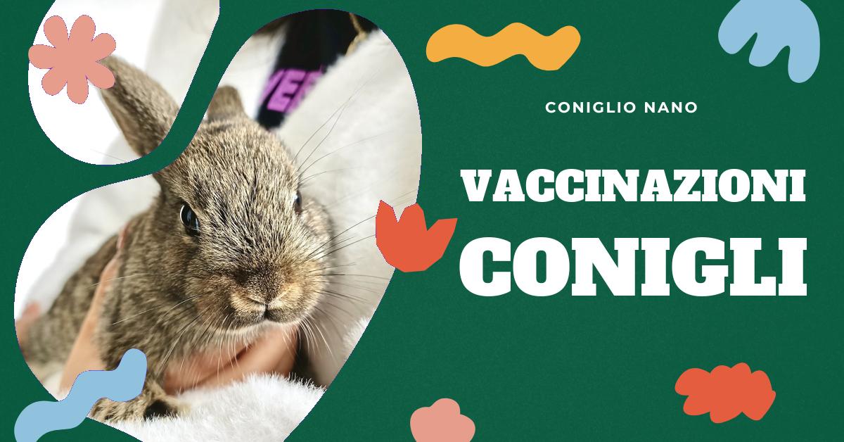 Scopri quali vaccinazioni sono necessarie per il tuo coniglio domestico, perché sono importanti anche per i conigli che non escono di casa, e approfondisci le malattie come la Malattia Emorragica Virale e la Mixomatosi. Mantieni il tuo amico peloso in salute con le informazioni corrette.