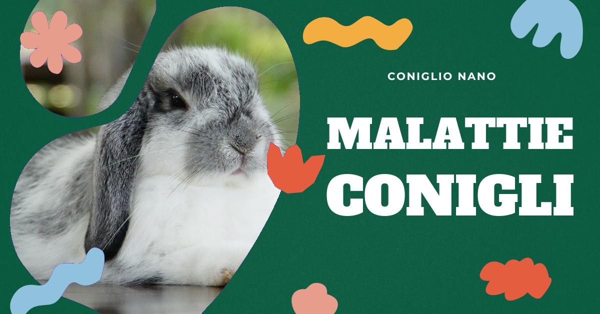 Scopri tutto sulle malattie trasmesse dalla cacca del coniglio. Informazioni dettagliate su vaccini, sintomi e prevenzione delle malattie dei conigli. Scopri se i conigli possono trasmettere malattie all