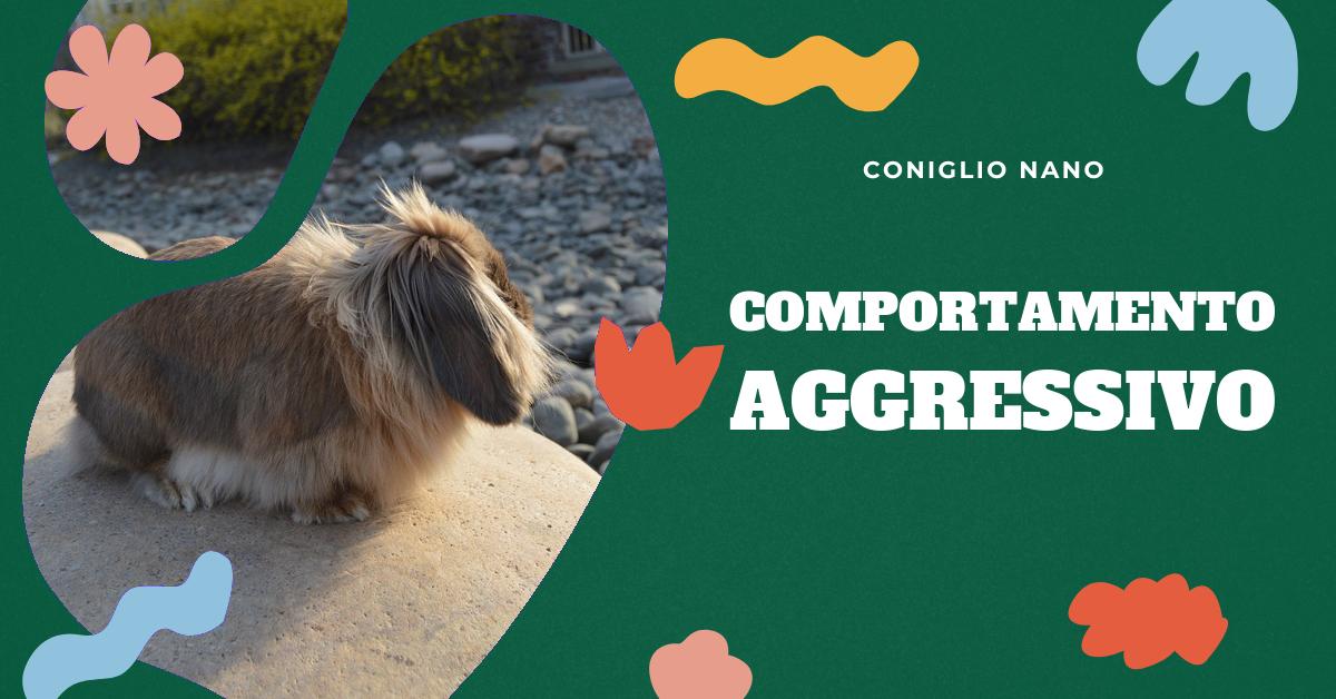 Scopri come gestire e risolvere i problemi di comportamento aggressivo nel coniglio nano. Trova consigli utili, capisci le cause di tale comportamento e scopri come prevenire le malattie comuni nei conigli nani. Informazioni preziose per tutti gli amanti dei conigli domestici.