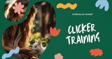 clicker-training-coniglio-nano