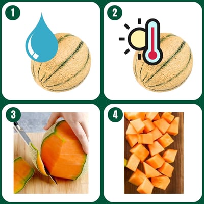come-dare-il-melone-ai-conigli-nani