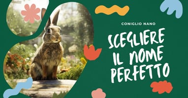 come-scegliere-il-nome-perfetto-per-il-tuo-coniglio-nano