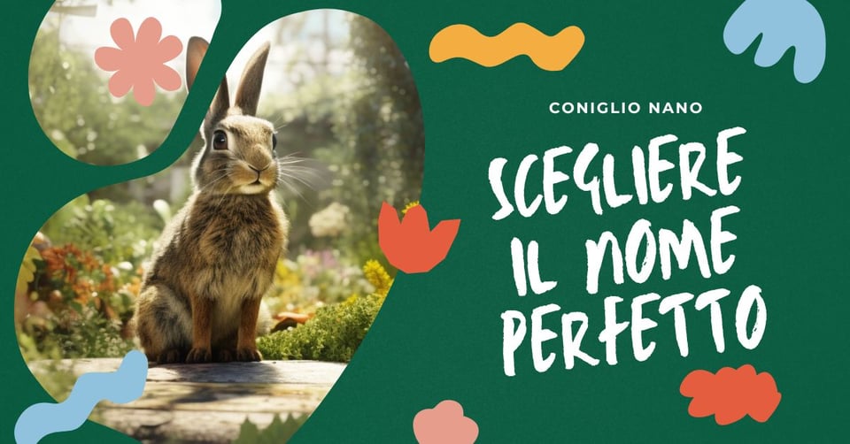 come-scegliere-il-nome-perfetto-per-il-tuo-coniglio-nano