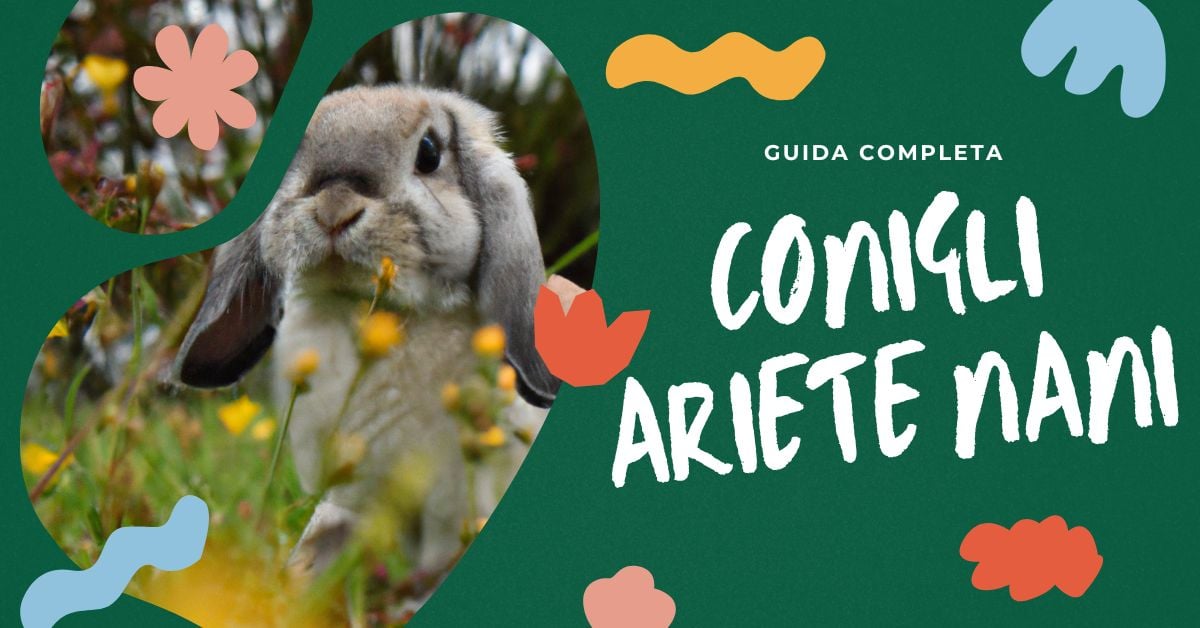 Mangime Per Conigli Naturale 1.5 Kg - Formula Con Pellet, Frutta E Verdura Essiccata - Alimento Completo E Gustoso