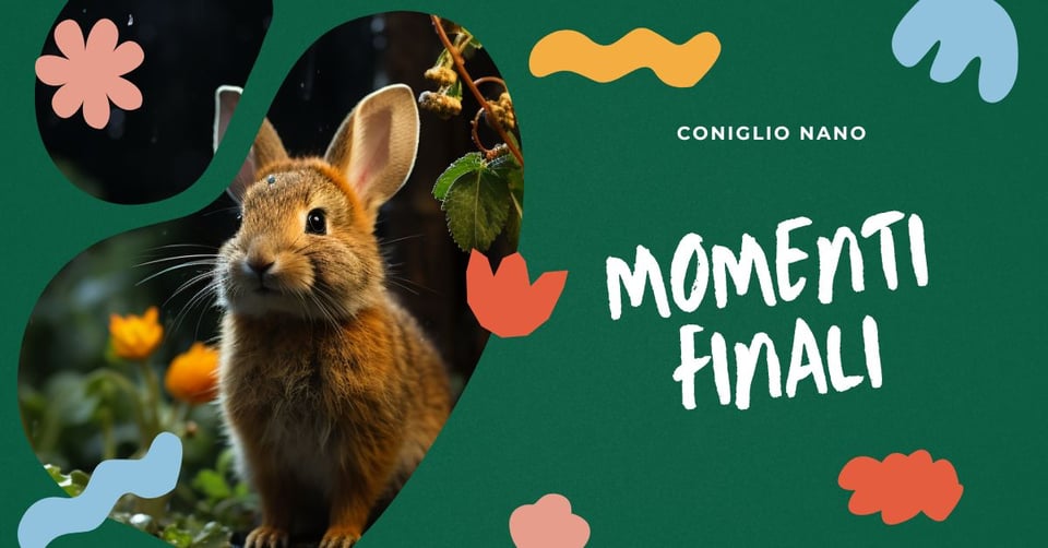 cosa-fanno-i-conigli-quando-stanno-per-morire