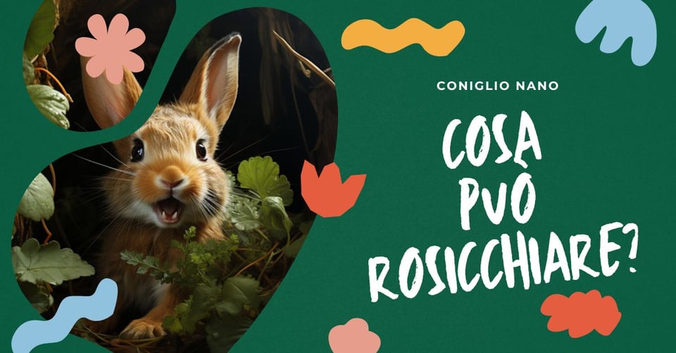 cosa-si-puo-dare-ad-un-coniglio-da-rosicchiare