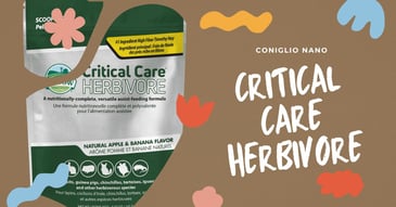 critical-care-conigli
