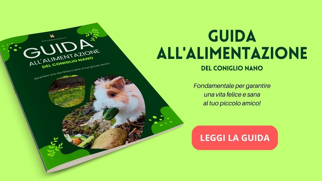 cta-leggi-la-guida-alimentazione-coniglio-nano