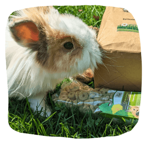foto-prodotto-grainless-anelli-di-piselli-snack-per-conigli-02-comp