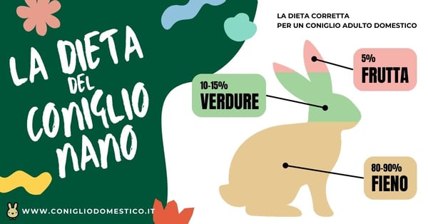 la-dieta-correta-per-un-coniglio-adulto-domestico