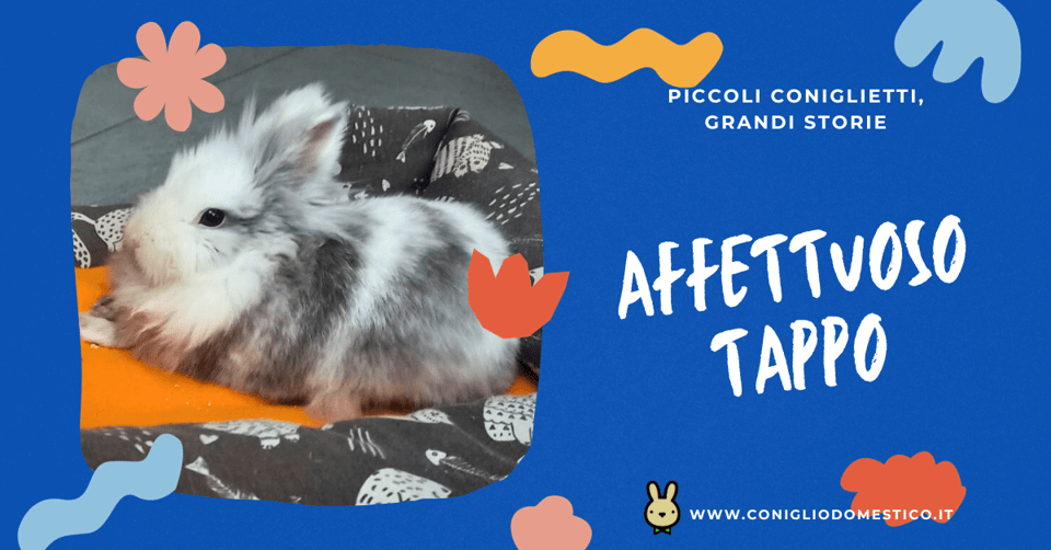 piccoli-coniglietti-grandi-storie-affettuoso-tappo-comp