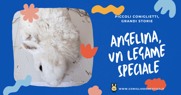 angelina-un-legame-speciale