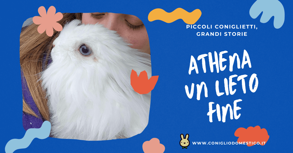 piccoli-coniglietti-grandi-storie-athena-un-lieto-fine-comp