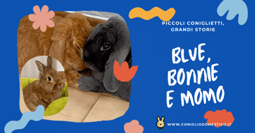 Blue, Bonnie e Momo