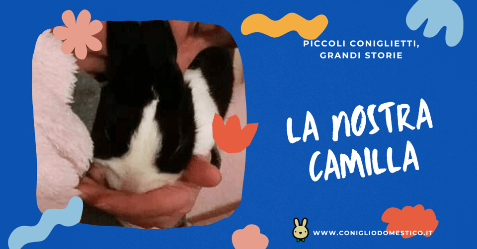 piccoli-coniglietti-grandi-storie-camilla-comp