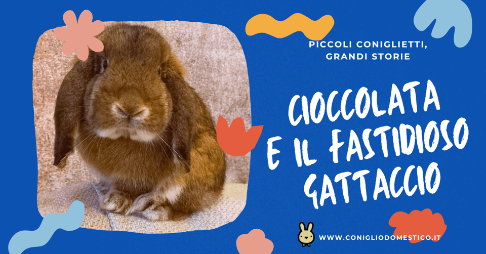 piccoli-coniglietti-grandi-storie-cioccolata-e-il-fastidioso-gattaccio-comp