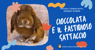 cioccolata-e-il-fastidioso-gattaccio