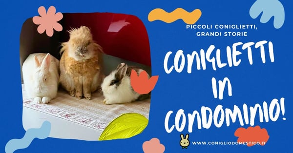 piccoli-coniglietti-grandi-storie-coniglietti-in-condominio