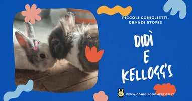 piccoli-coniglietti-grandi-storie-didi-e-kelloggs