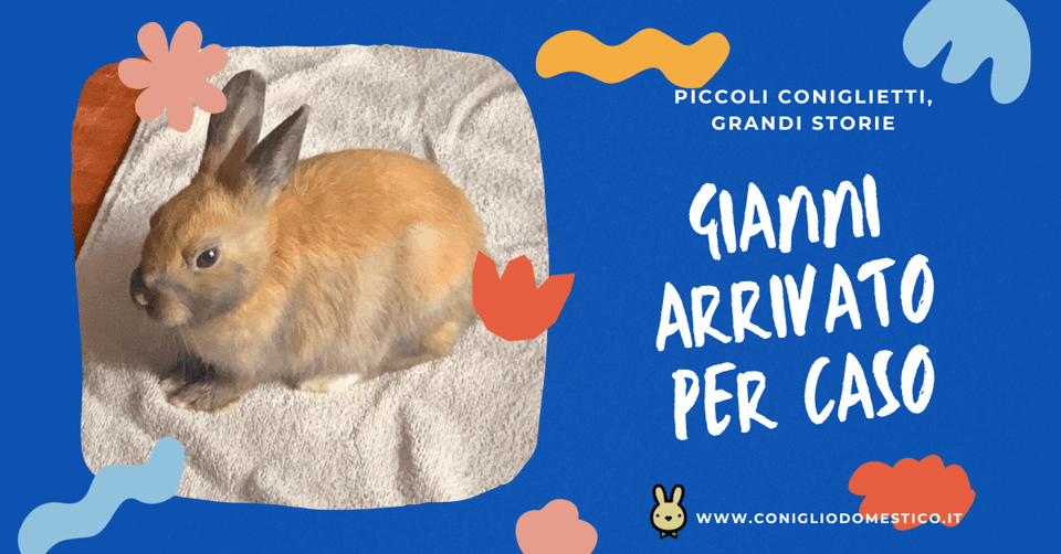 piccoli-coniglietti-grandi-storie-gianni-arrivato-per-caso-comp