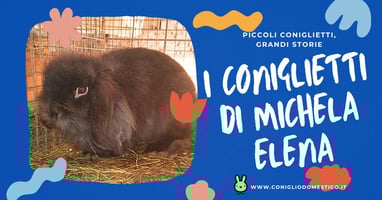 piccoli-coniglietti-grandi-storie-i-coniglietti-di-michela-elena