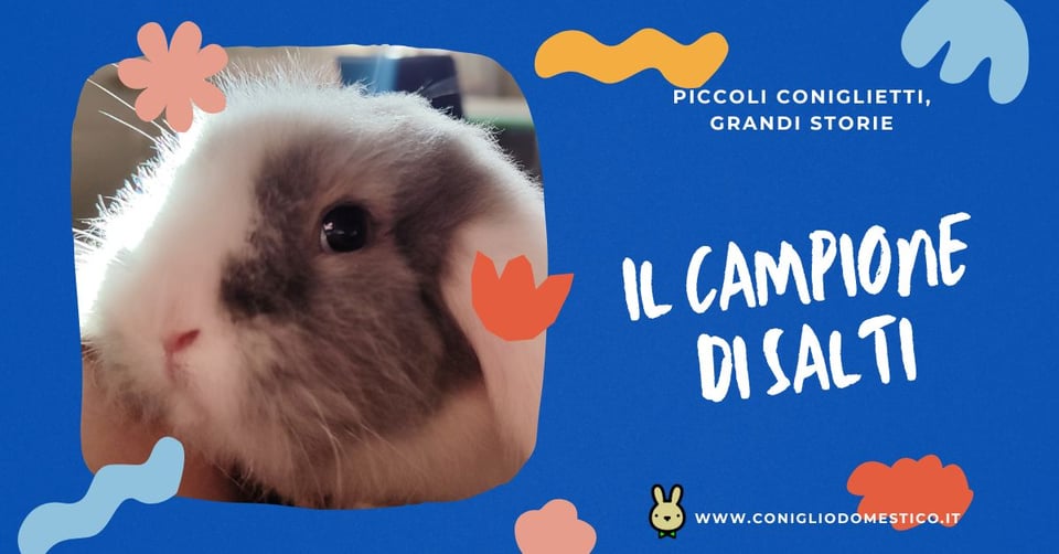 piccoli-coniglietti-grandi-storie-il-campione-di-salti