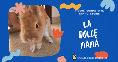 la-dolce-nana