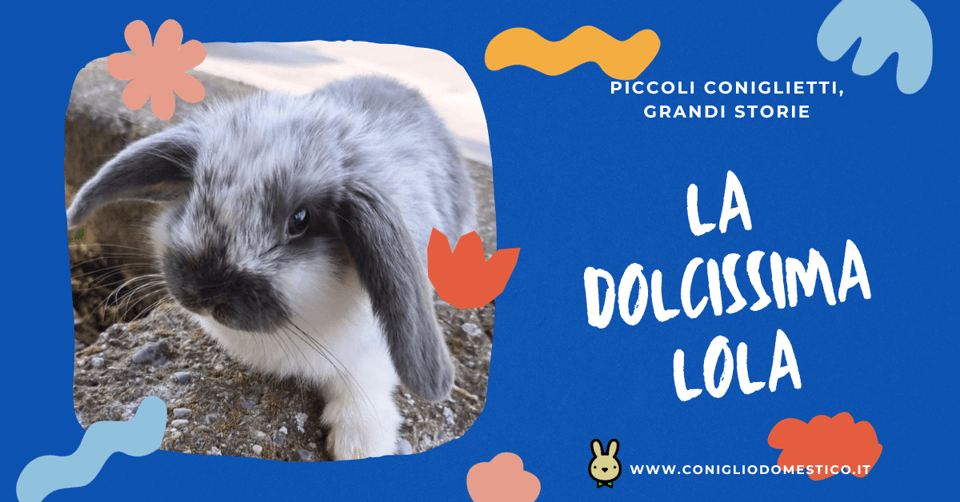 piccoli-coniglietti-grandi-storie-la-dolcissima-lola-comp