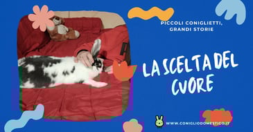 piccoli-coniglietti-grandi-storie-la-scelta-del-cuore