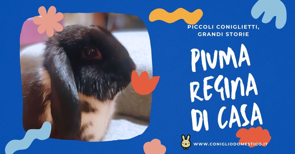 piccoli-coniglietti-grandi-storie-piuma-regina-di-casa