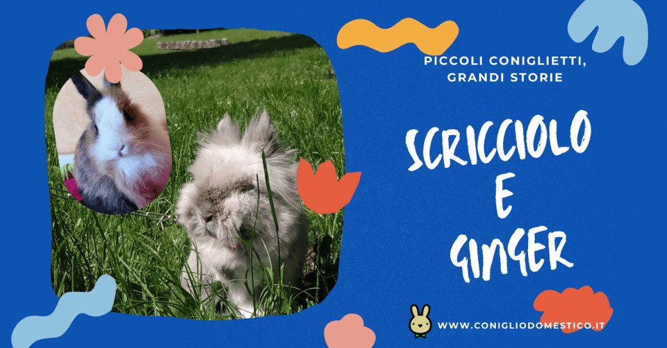 piccoli-coniglietti-grandi-storie-scricciolo-e-ginger-comp