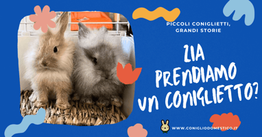 zia-prendiamo-un-coniglietto