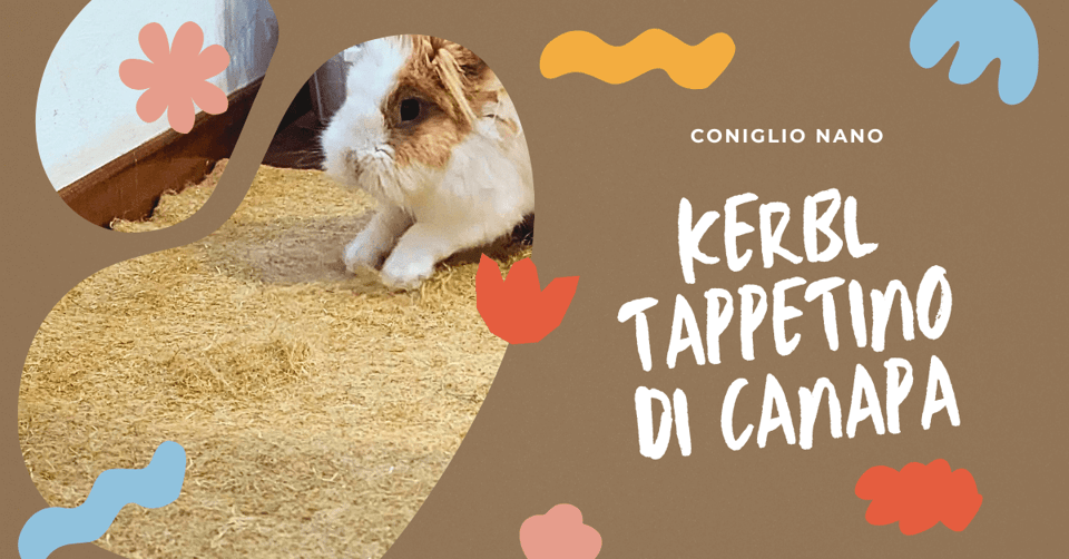 recensione-kerbl-tappetino-di-canapa-naturale-per-conigli-comp