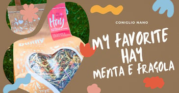 recensione-my-favorite-hay-menta-e-fragola-fieno-fresco-per-conigli